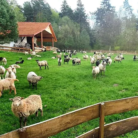 Agroturystyka Stara Huta Narol Exterior photo