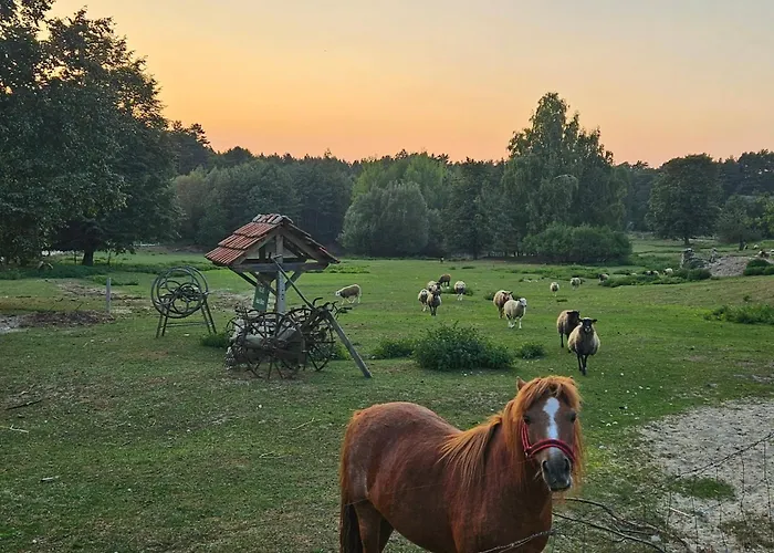 Agroturystyka Stara Huta