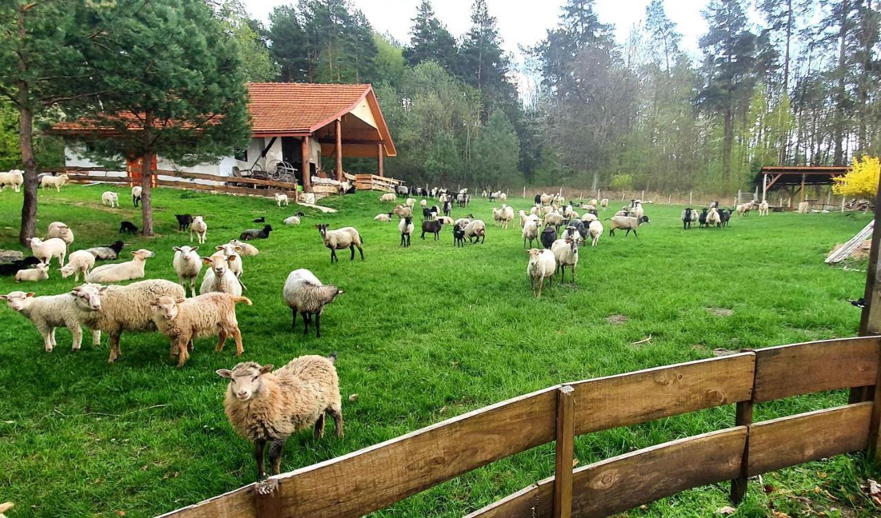 Stara Huta Holiday home