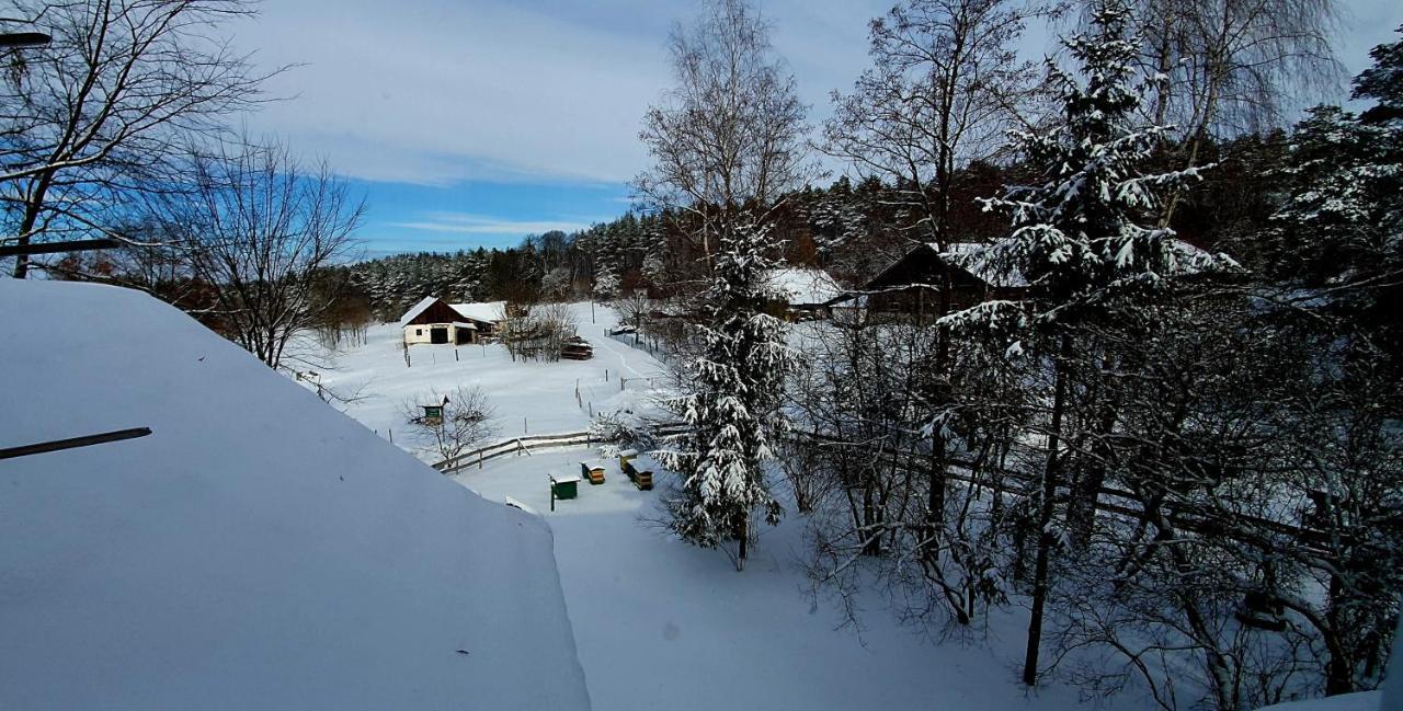 Holiday home Stara Huta