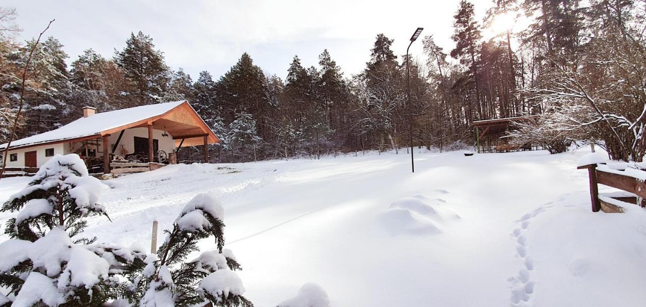 Stara Huta Holiday home Narol